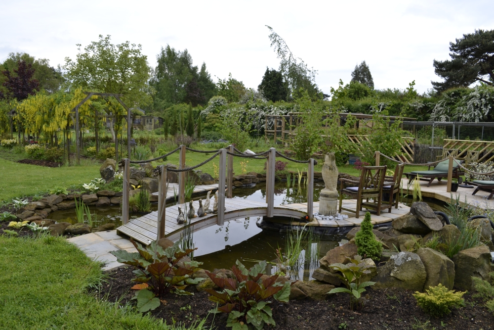 Island Pond